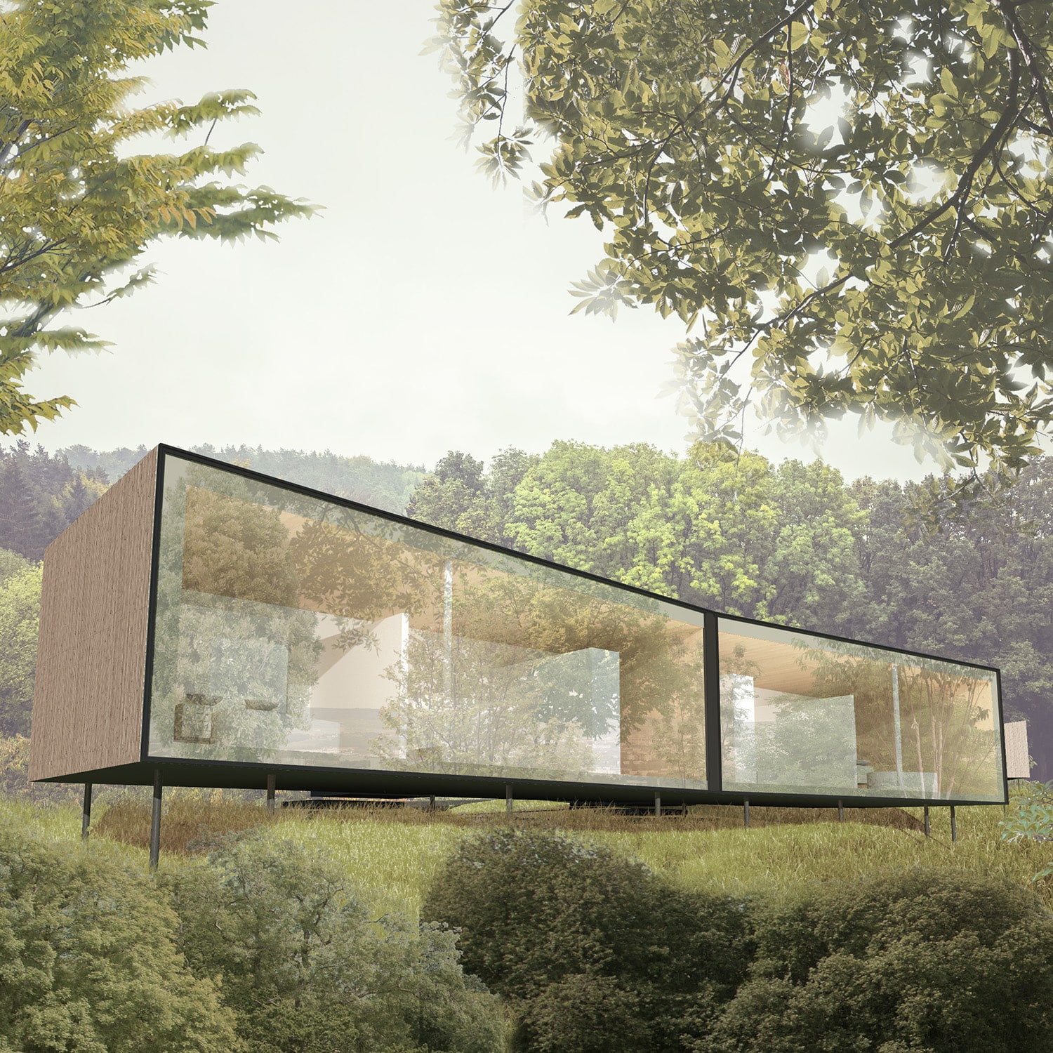 Photo-SHELTER-1
